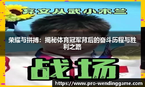 问鼎娱乐平台